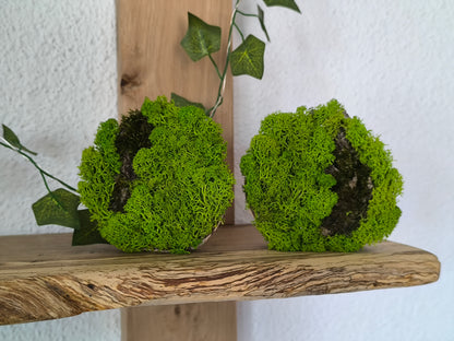 Set 2 Mini tablouri cu licheni naturali – decor din lemn 9 cm