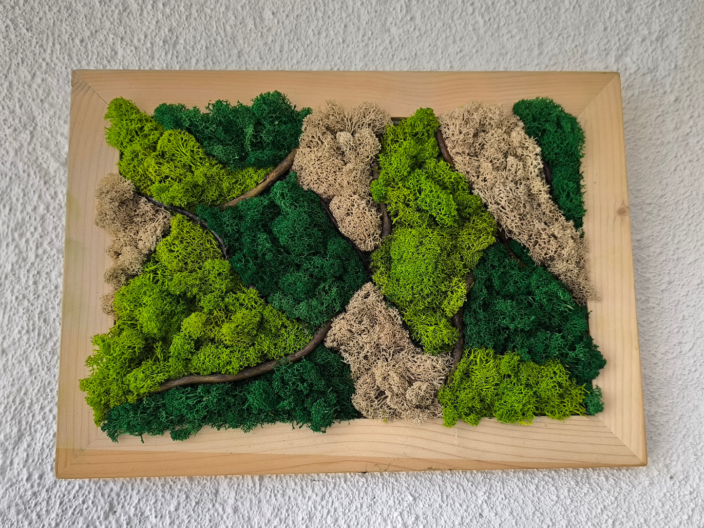 Tablou decorativ cu licheni stabilizați și crengi de salcie – Moss Art natural A4