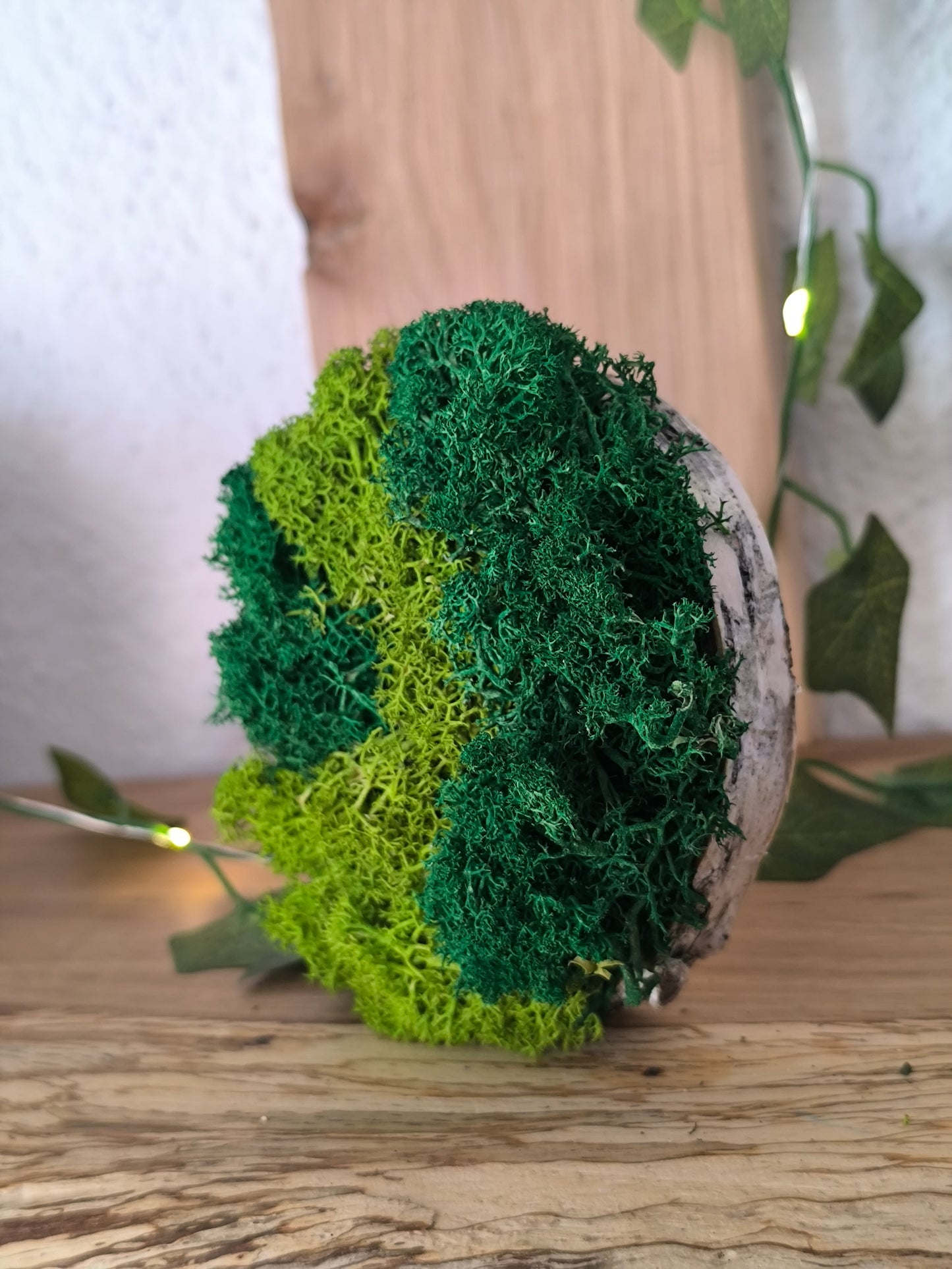 Mini tablou cu licheni naturali – decor din lemn 9 cm