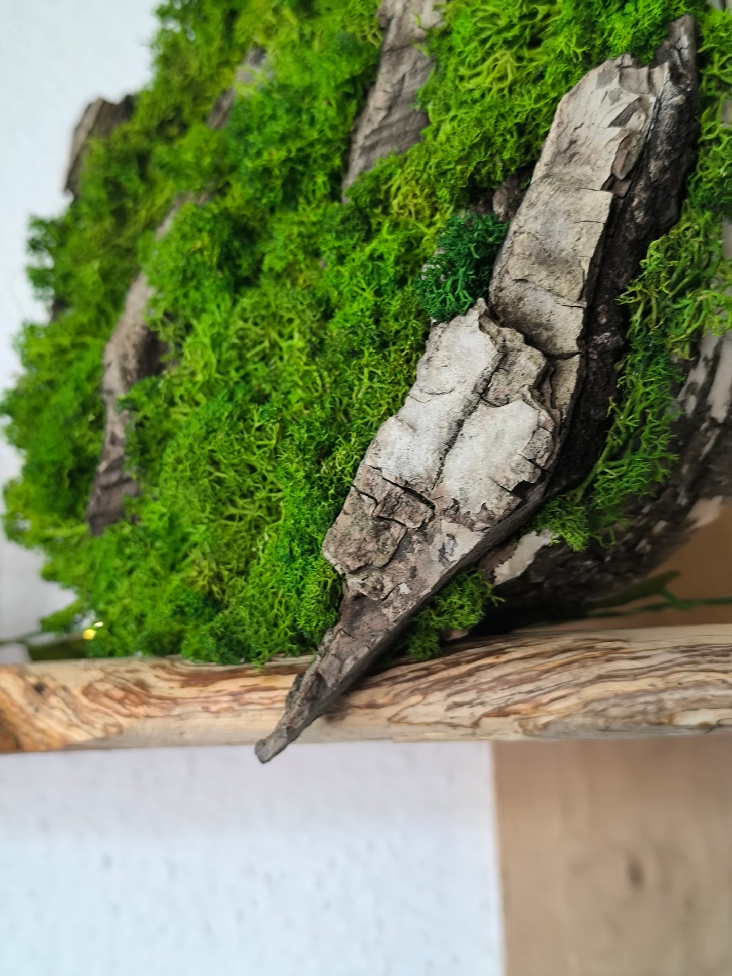 Tablou/ Decoratiune cu licheni naturali – decor din lemn 18-21 cm