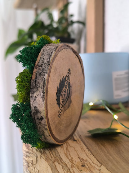 Mini tablou cu licheni naturali – decor din lemn 9 cm