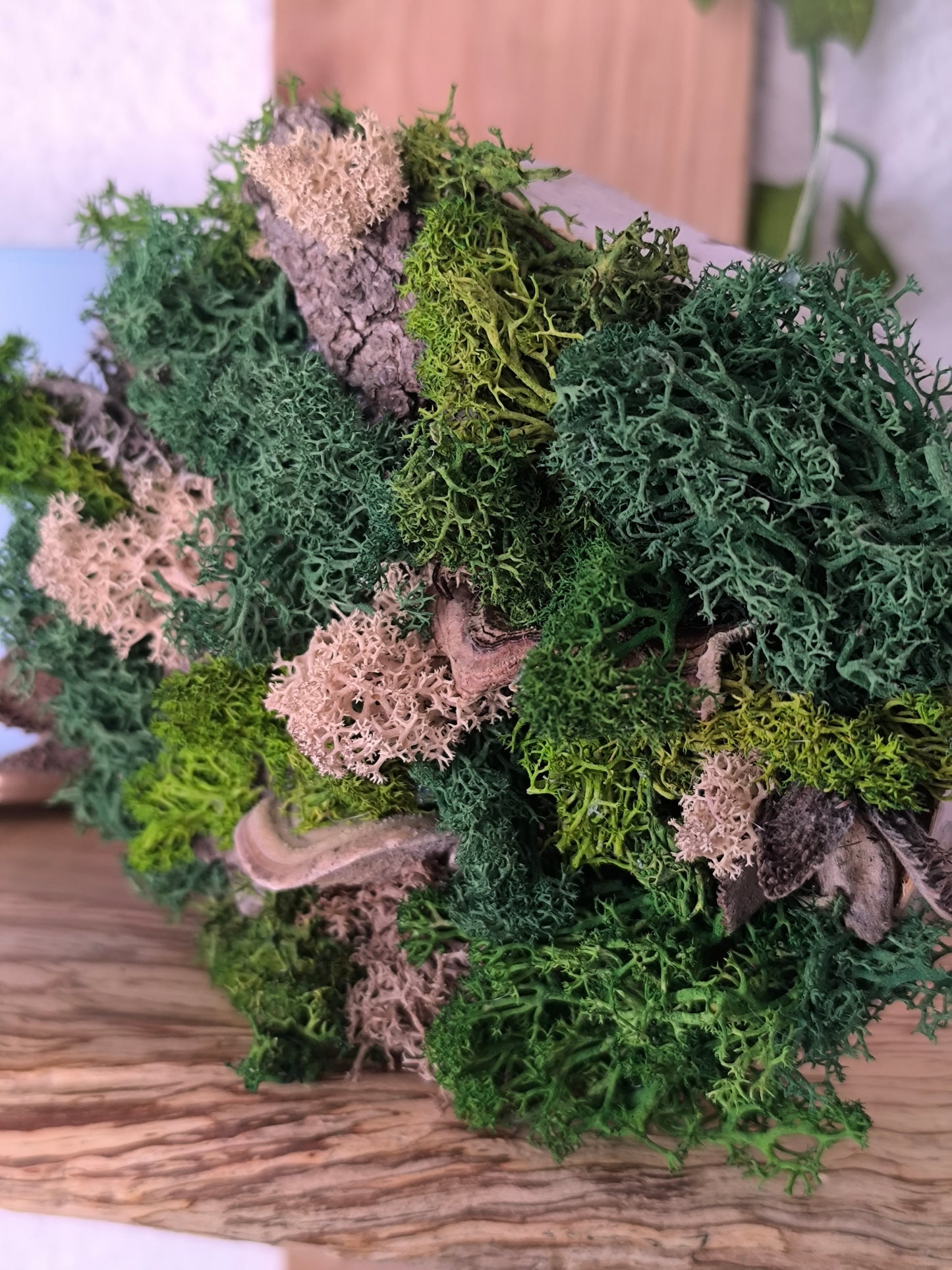 Mini tablou cu licheni naturali – decor din lemn 12 cm